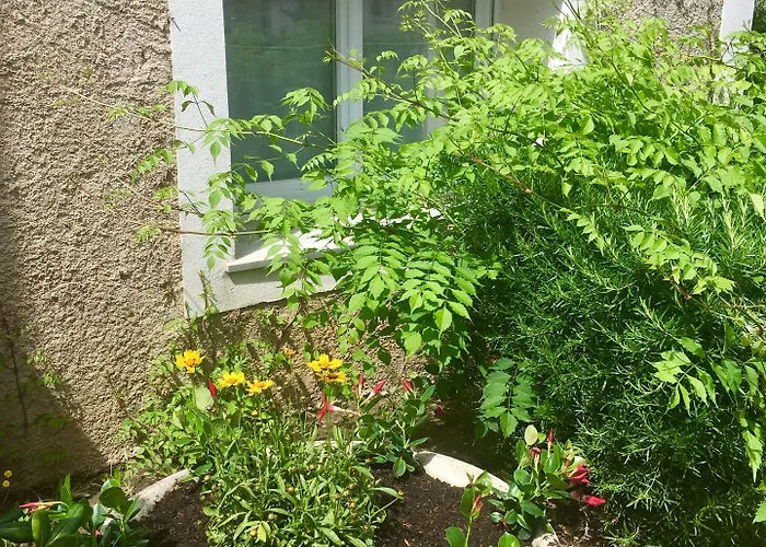 L'isula Rossa LʼÎle-Rousse