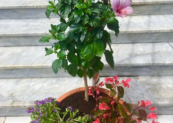 Hotel L'isula Rossa 2*